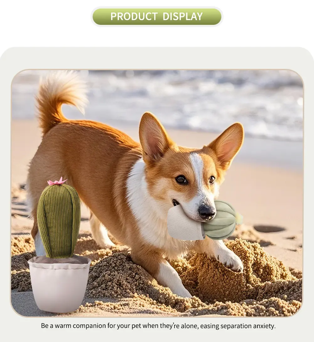 Pet Toy View 6