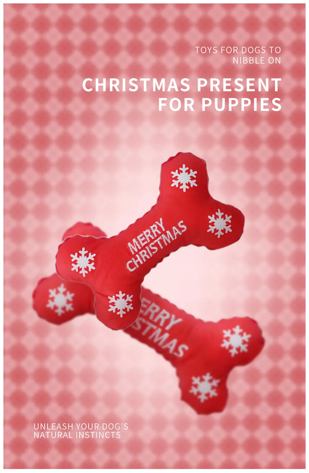 Snowflake Bone Toy 01