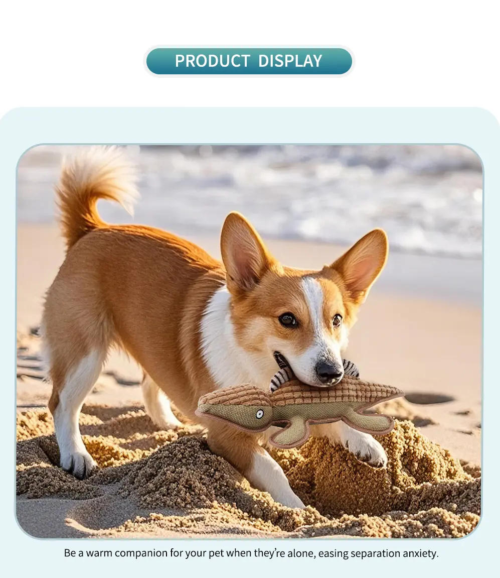 Dinosaur Pet Toy Red