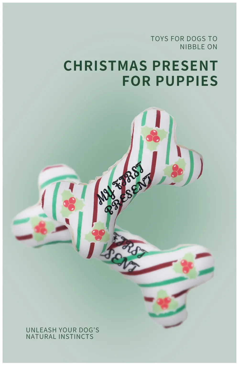 Dog Toy Detail 1