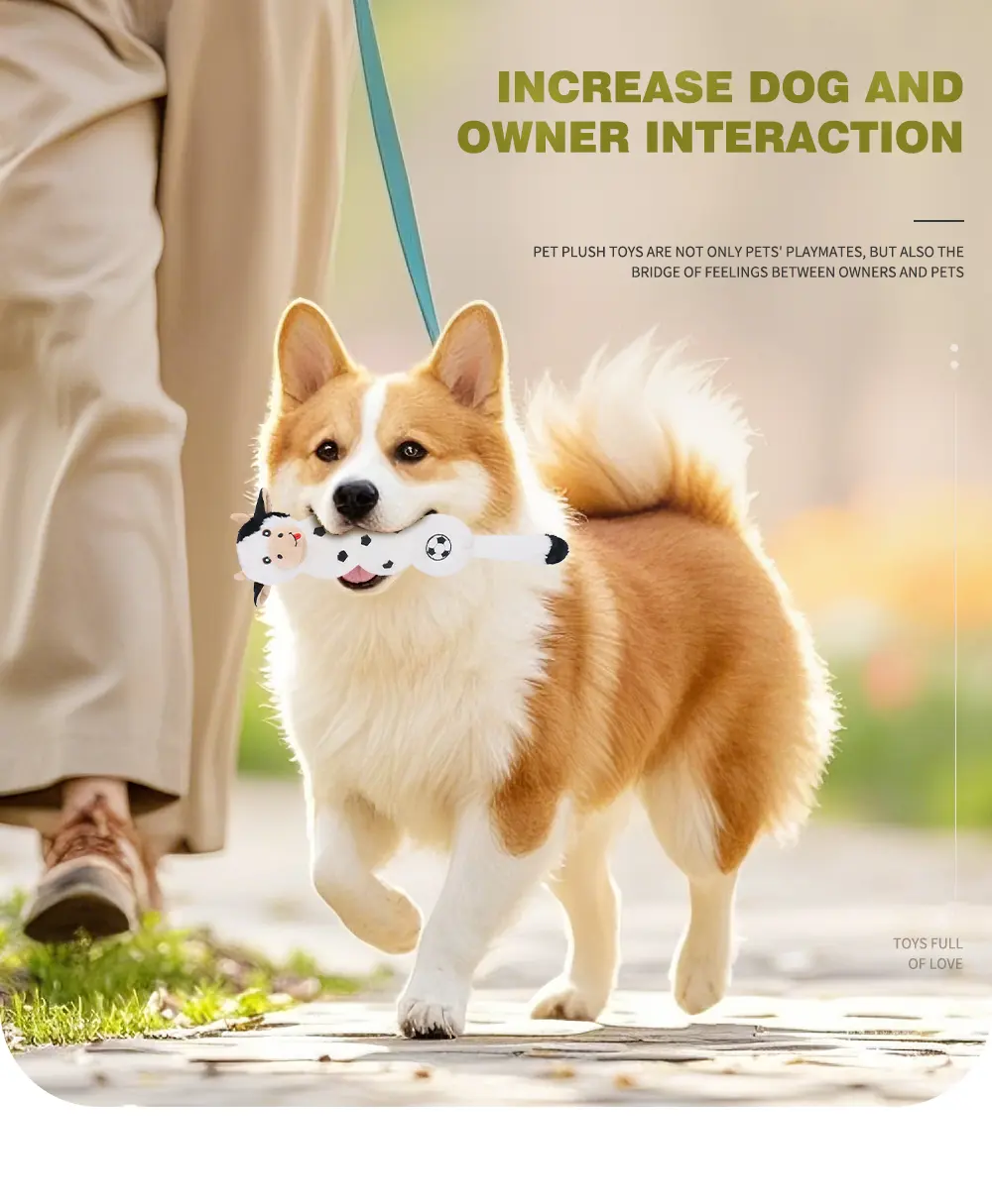 Dog Toy 4