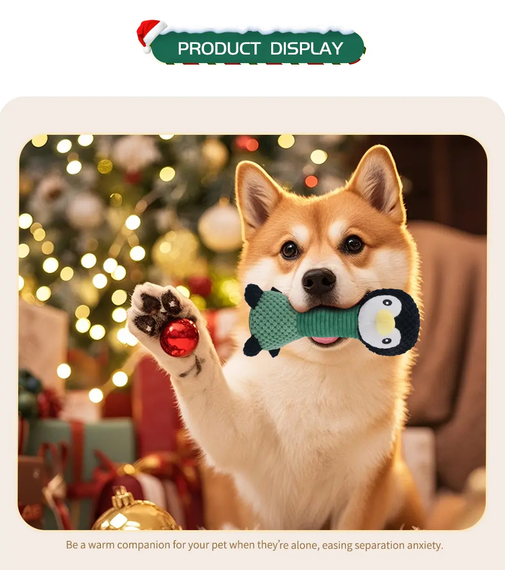 Christmas Collection 9