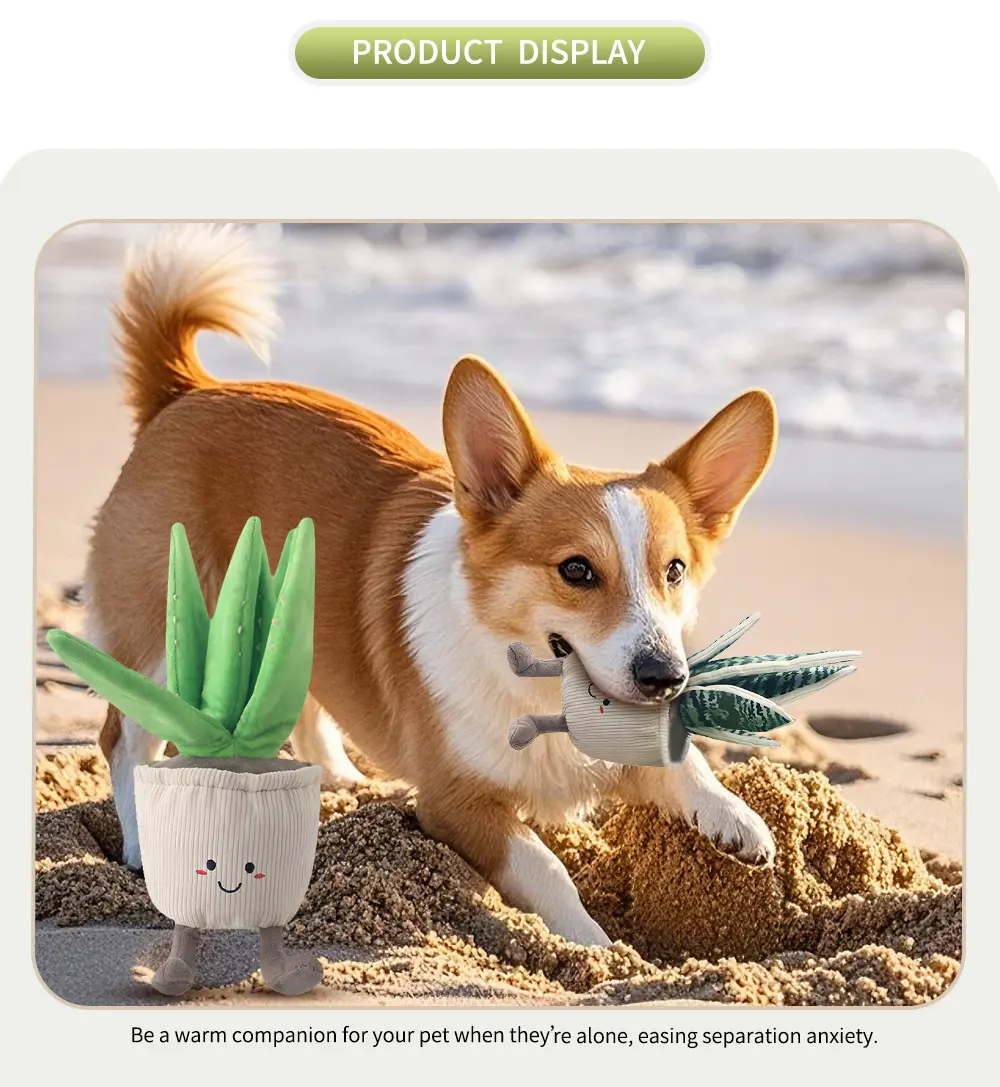Pet Toy 6