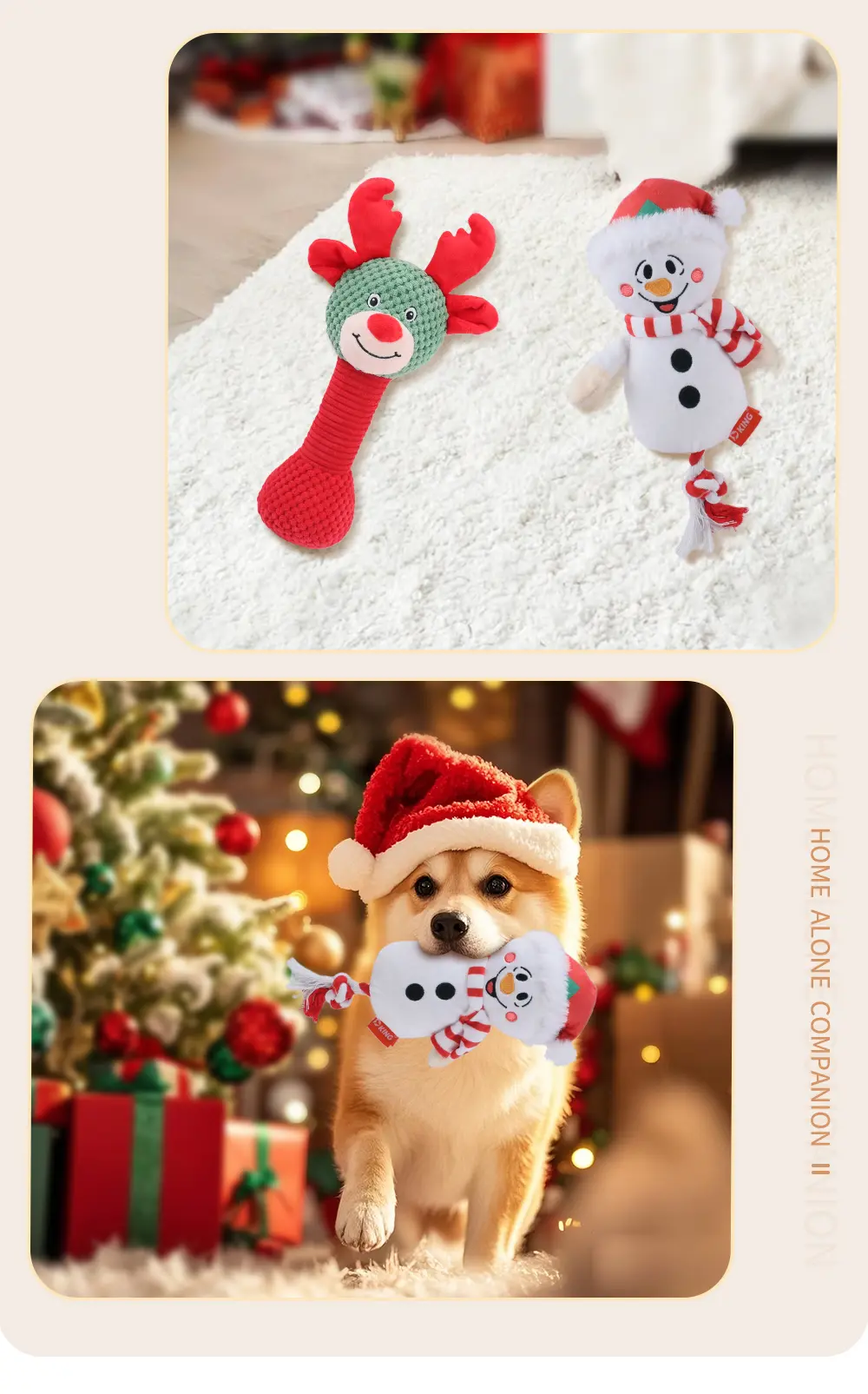 Christmas Collection 10