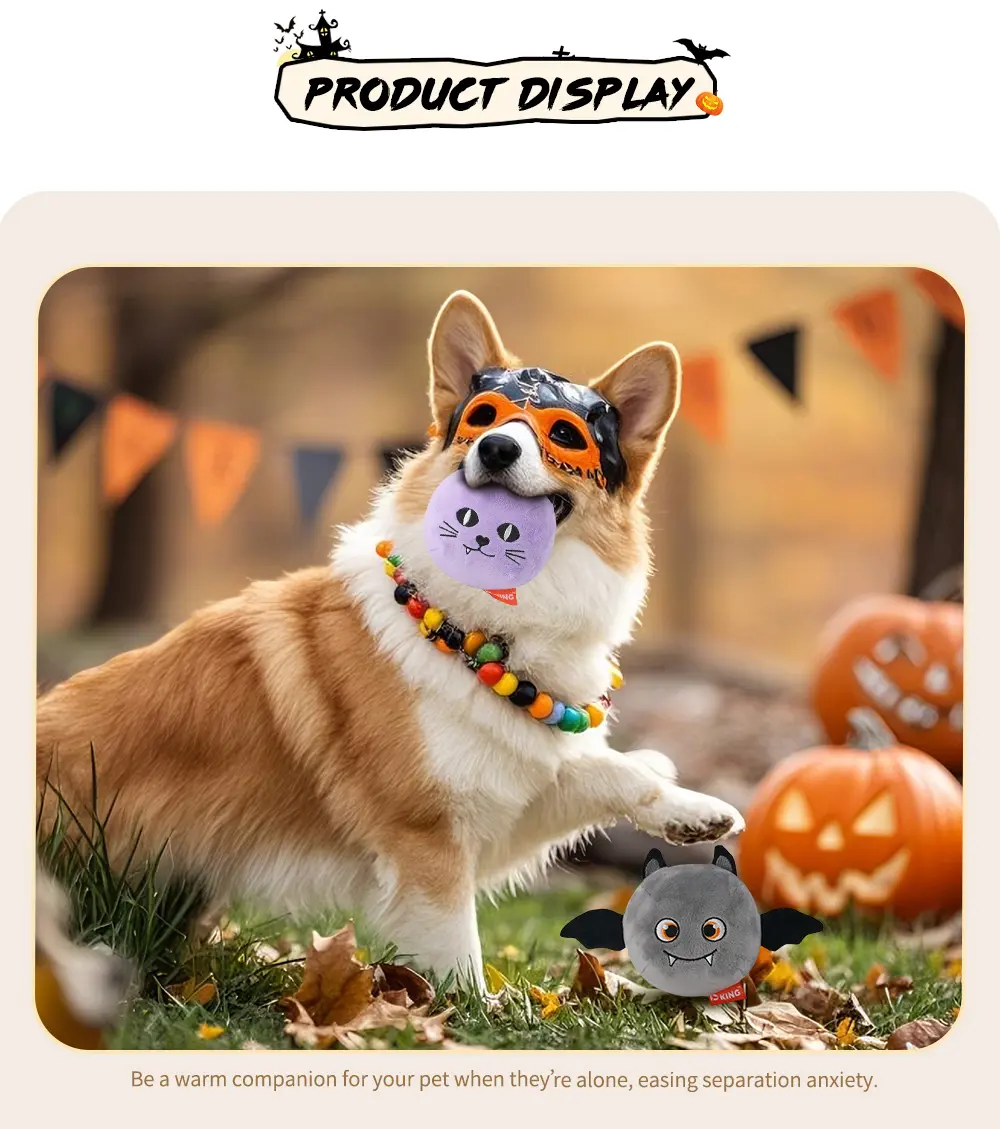Product View 6