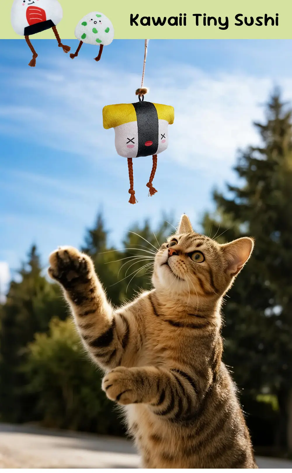 cat biting toys (6)