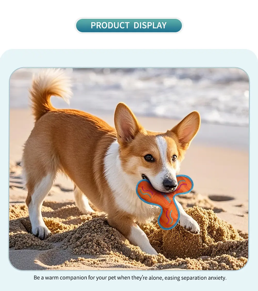 Pet Toy 6