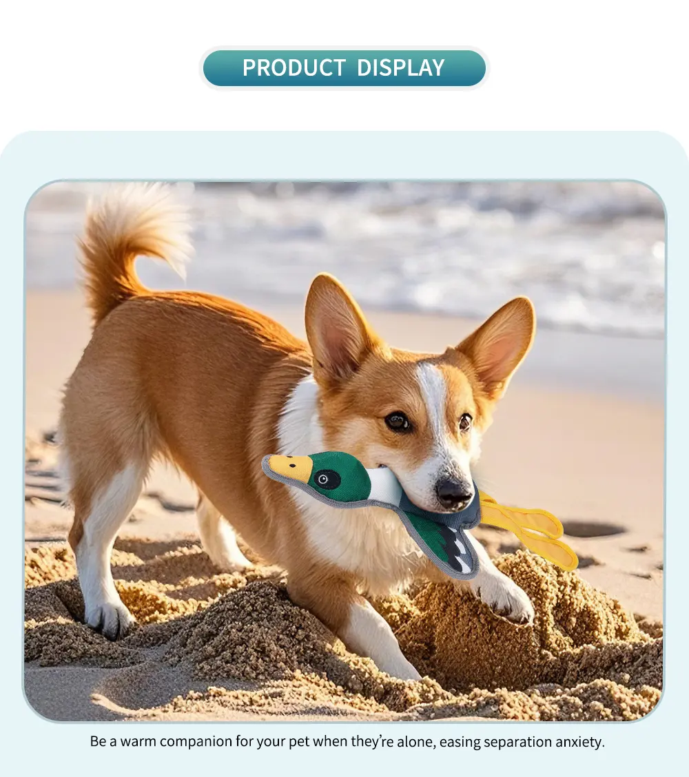 Pet Toy 5