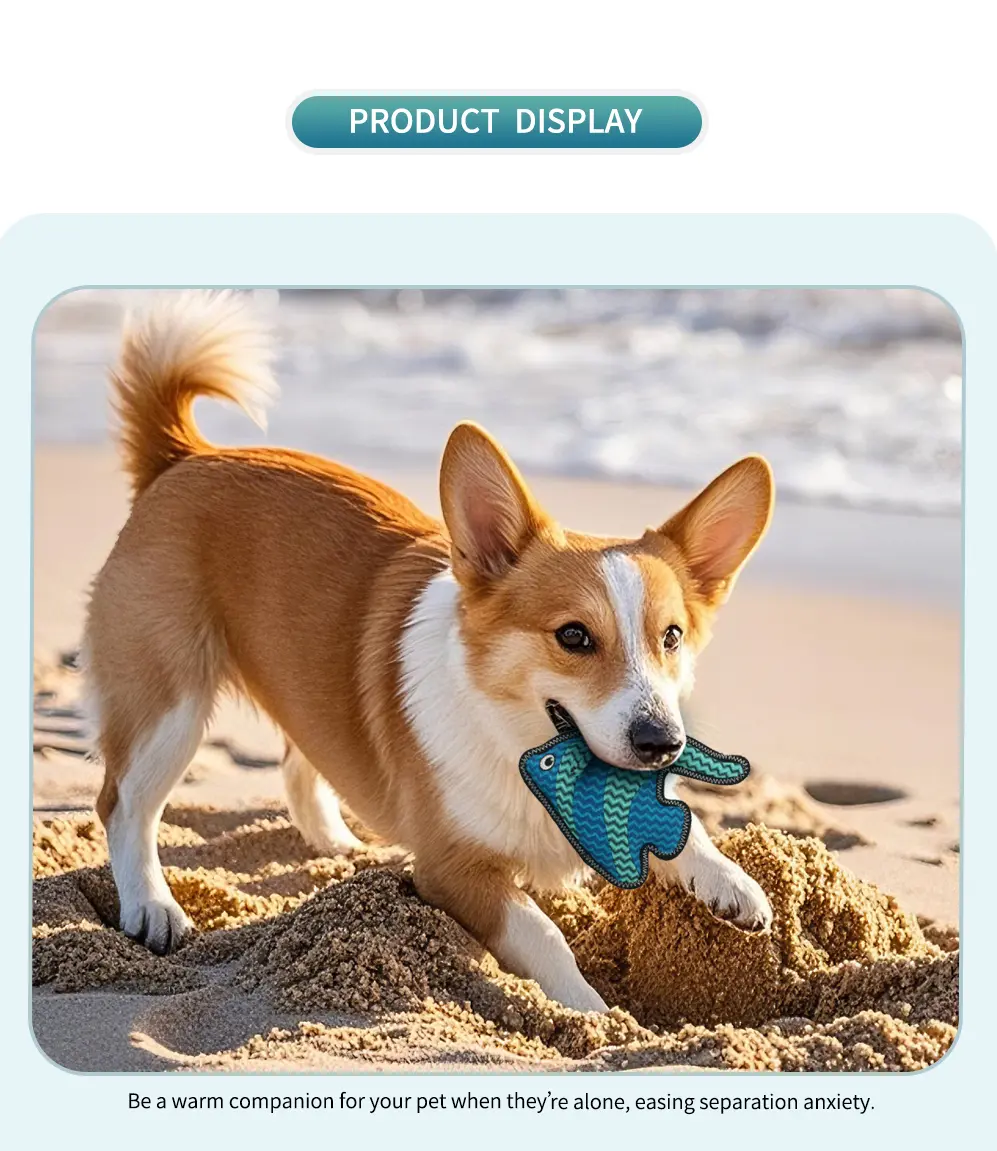 Dog Toy Texture