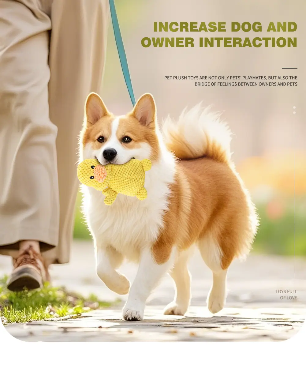 Pet Toy View 4