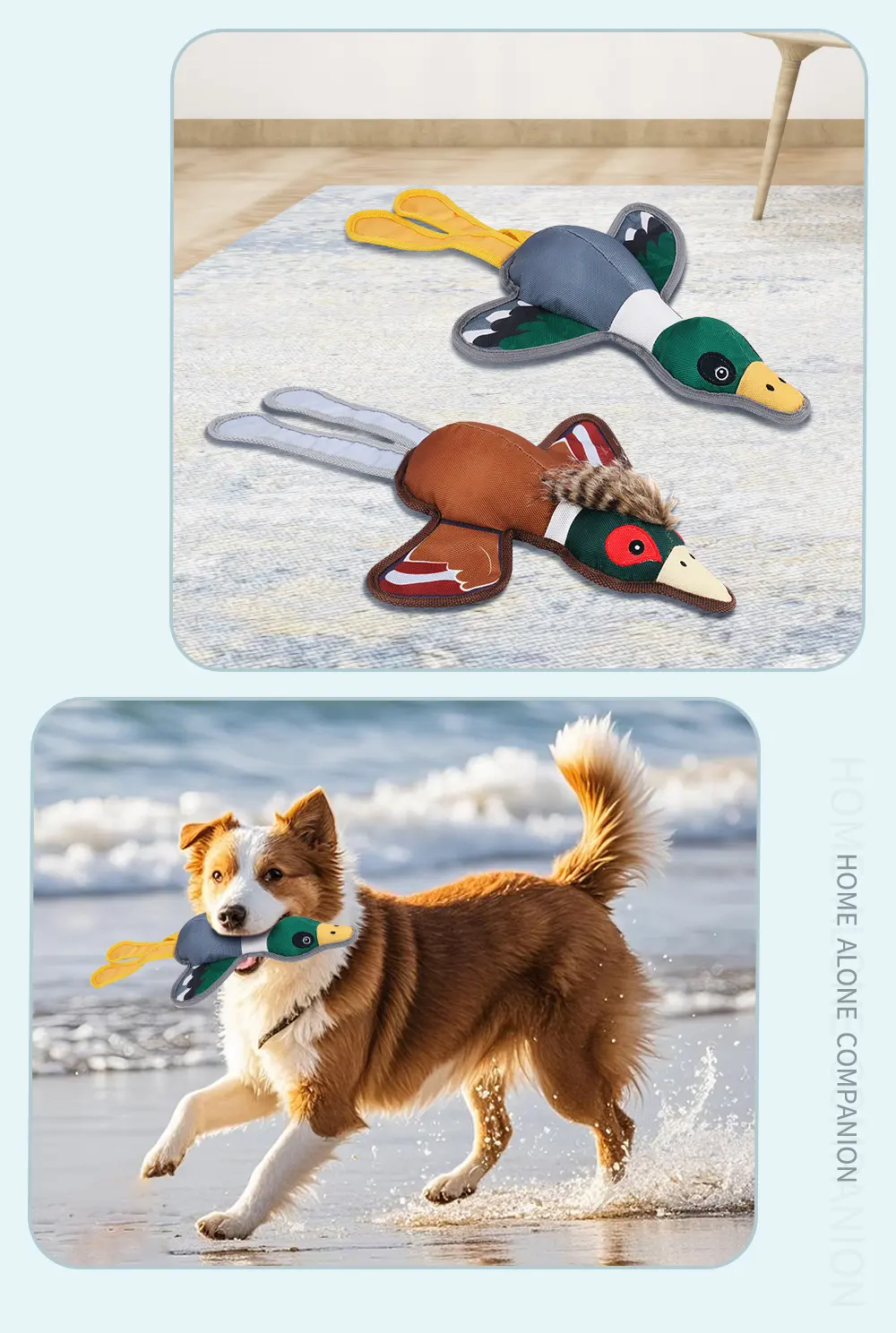 Pet Toy 6