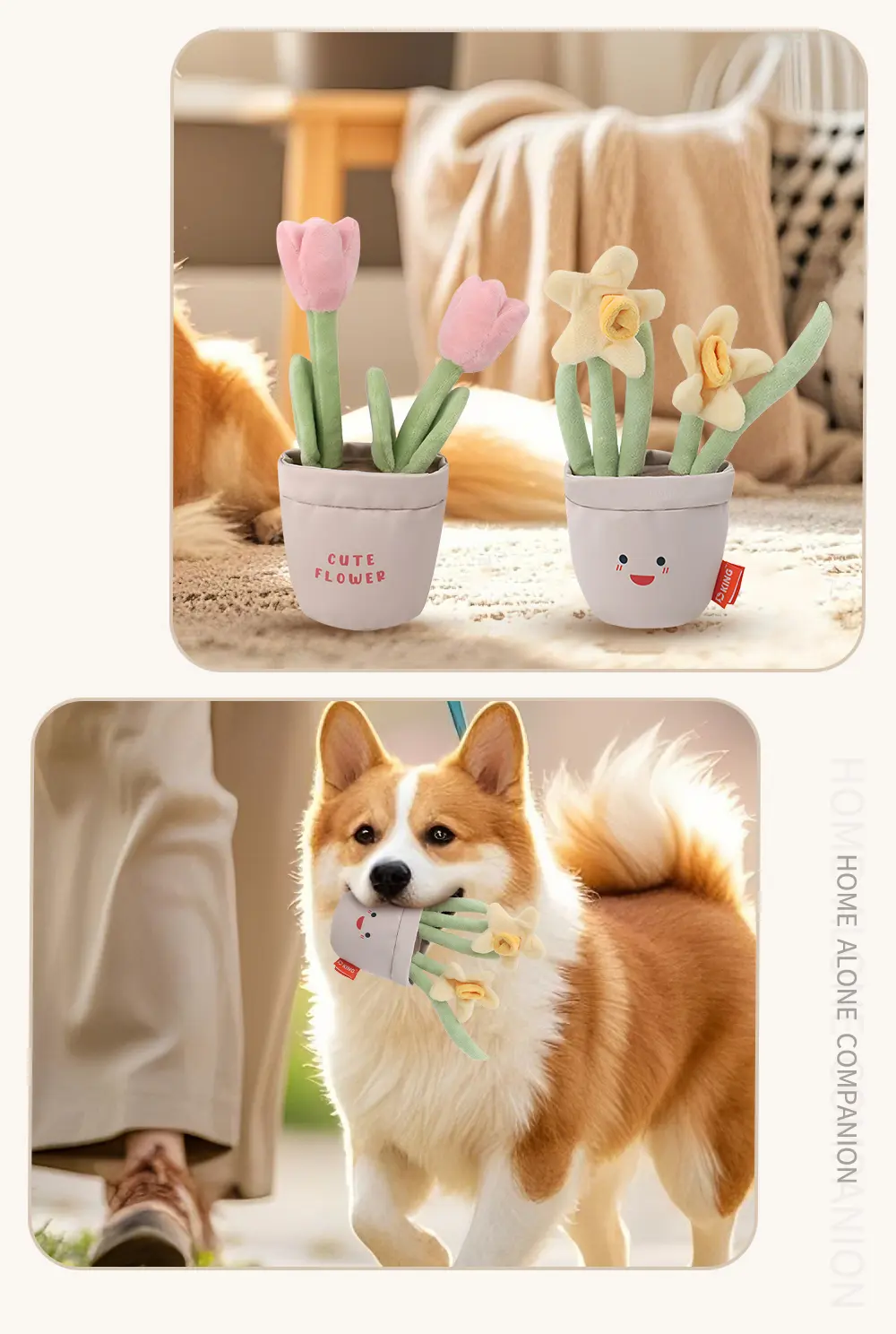 Pet Toy 7