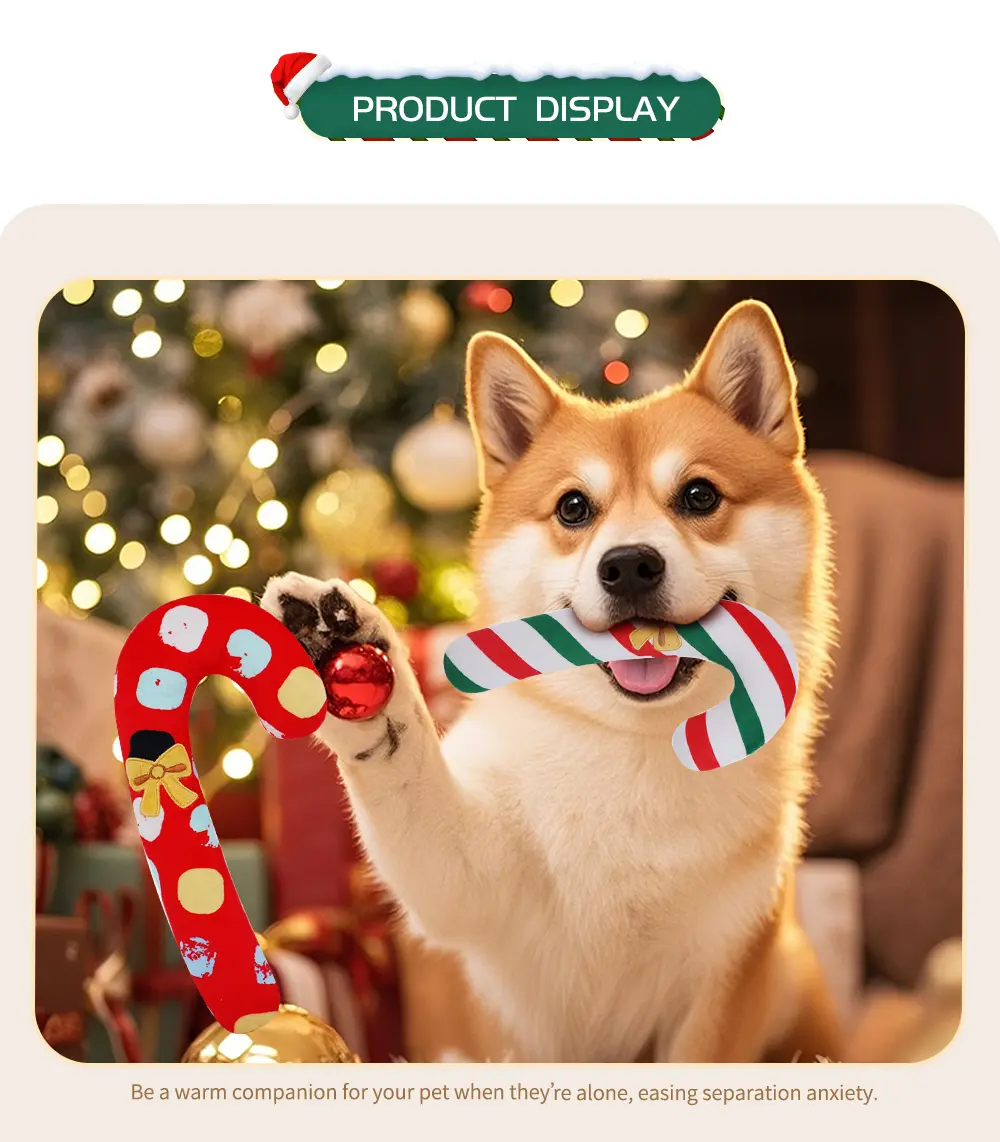 Pet Toy 6