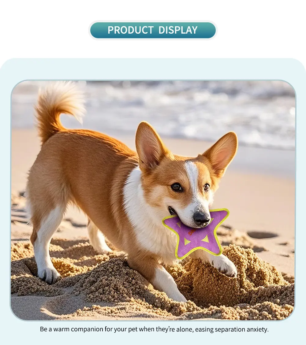 Pet Toy 6
