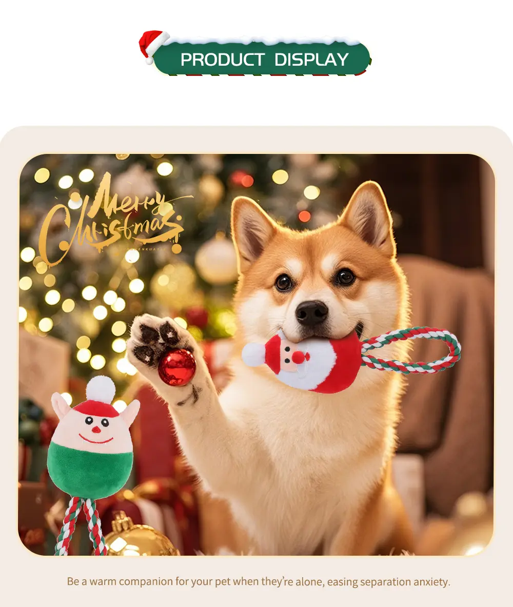 Pet Toy 5