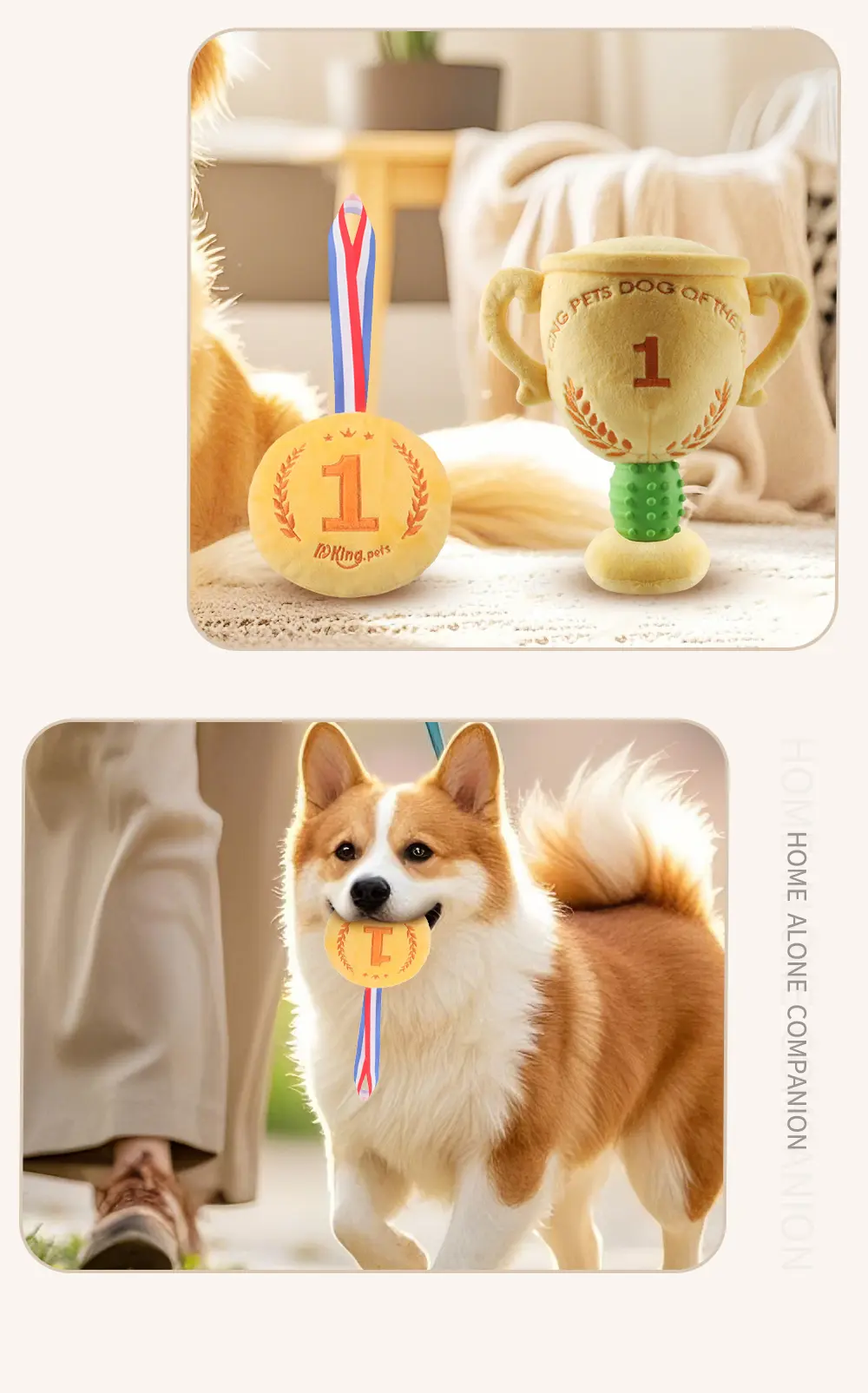Product Showcase 8