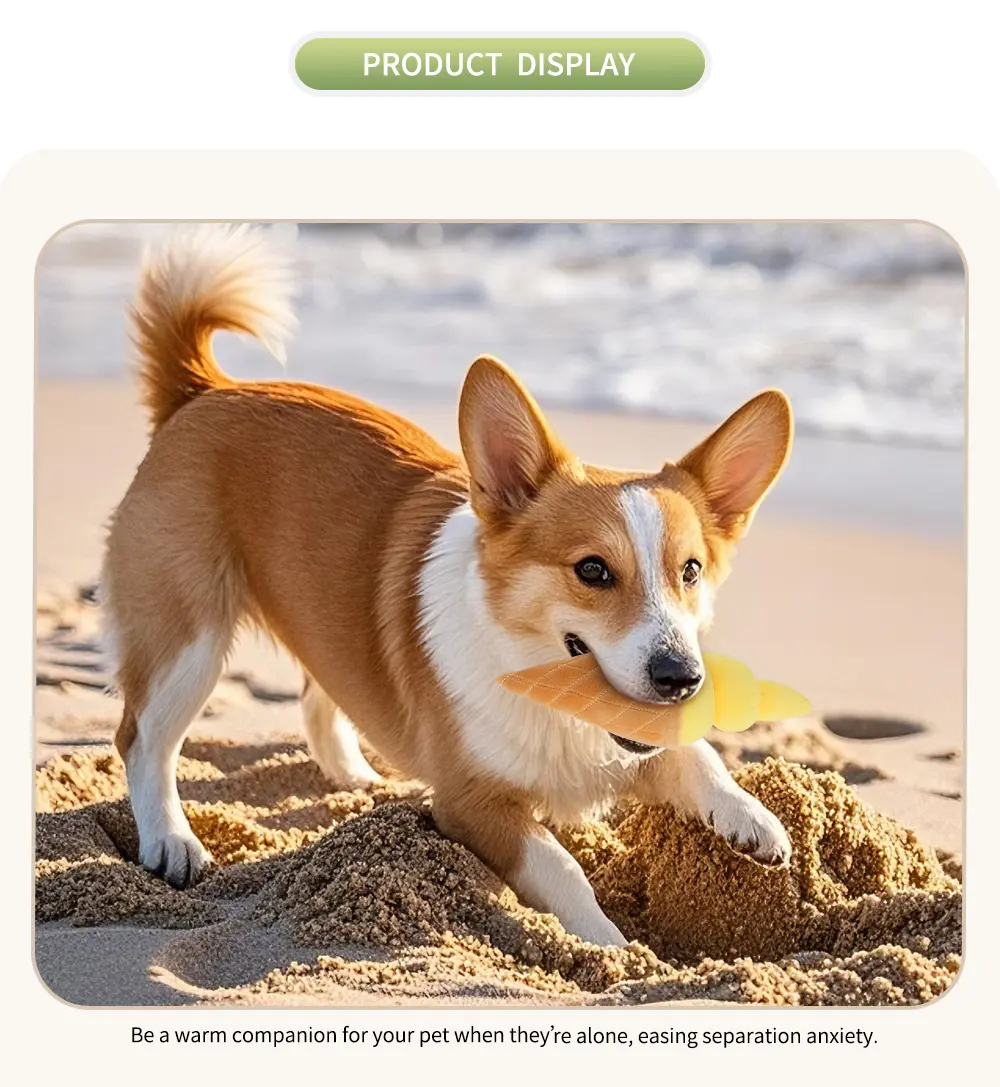 Ice Cream Cone Pet Toy 6