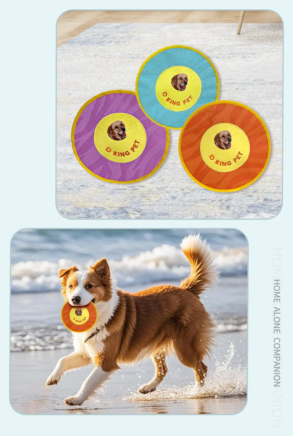 Pet Frisbee 7