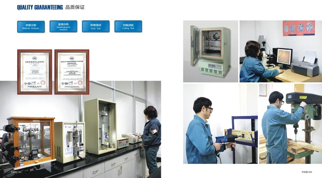 Wood Drill Bit Detail 1