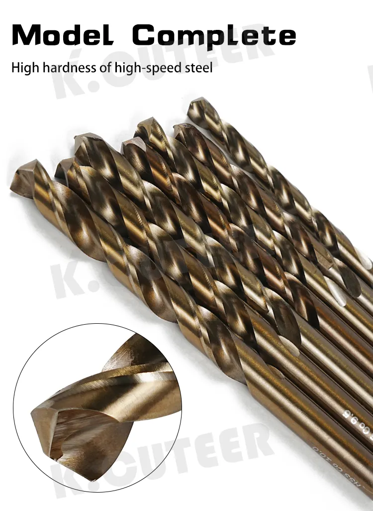 Twist Drill Bit Set 10