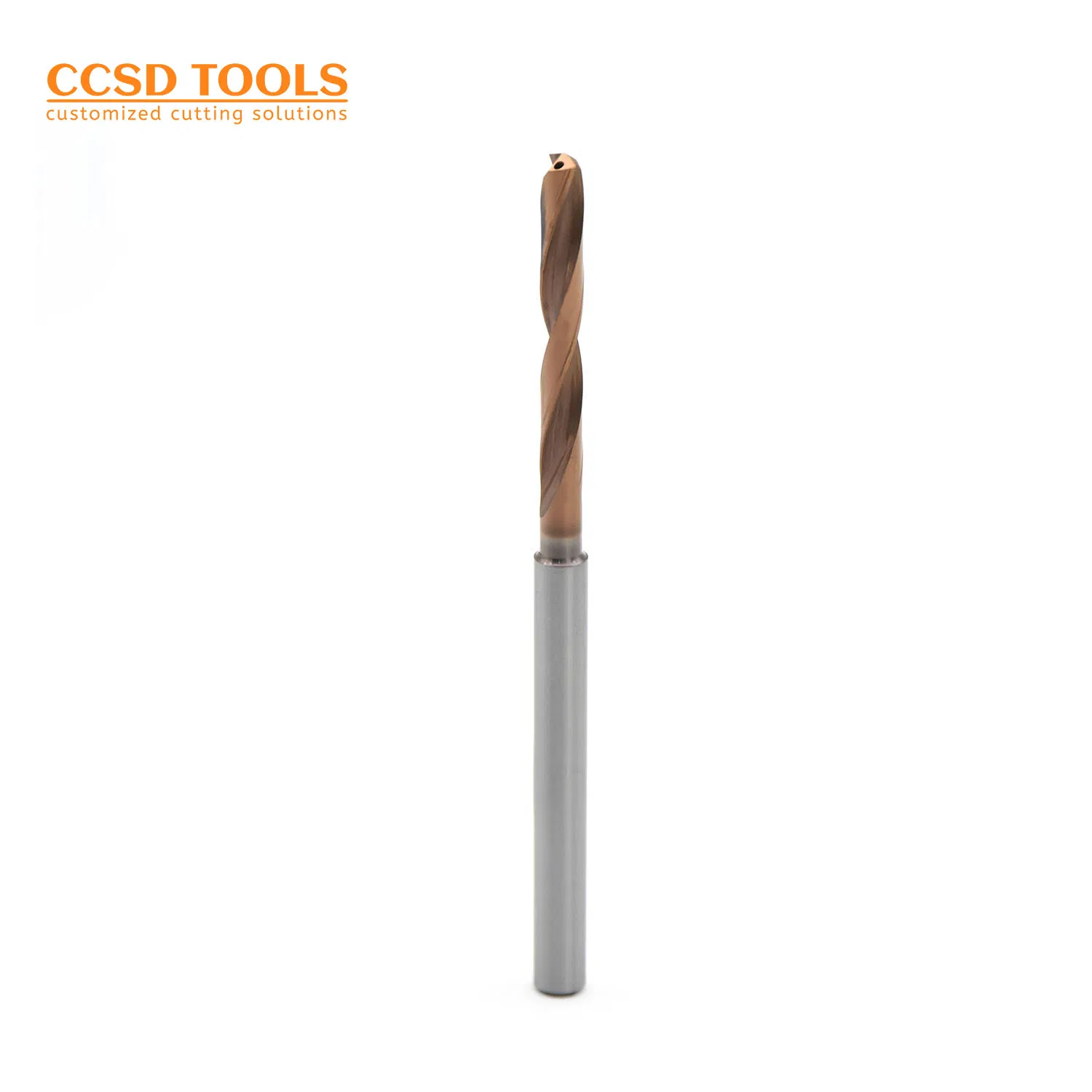 Carbide Inner Coolant Tool Router Tungsten Carbide HSS Diamond Core Twist Metal Petroleum Drilling/Drill Bit 2f with Head