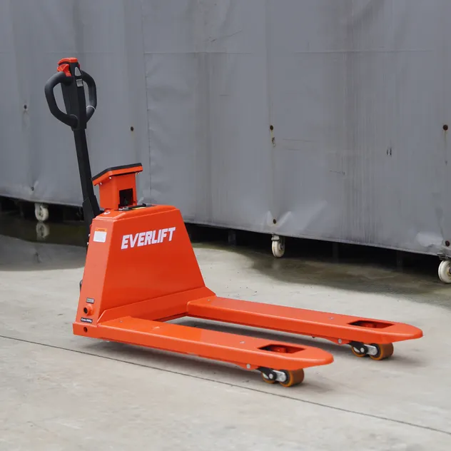 Pallet Truck Scale View 1