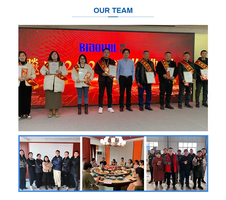 Hydraulic Power Dock Leveler 6