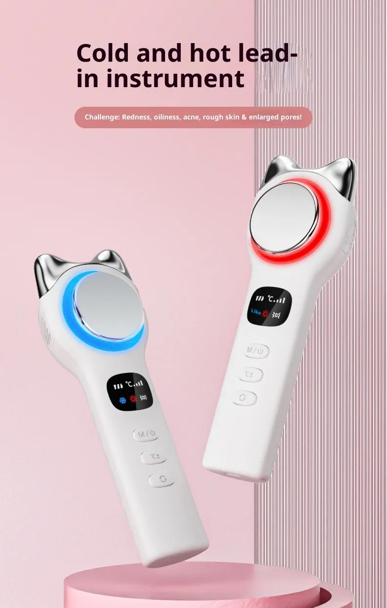 Massageador Facial