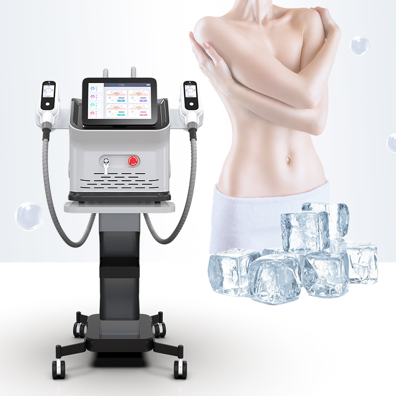 Criolipólise Escultura Fria Slim Criolipólise Perda de Peso Congelamento de Gordura Máquina de Crioterapia