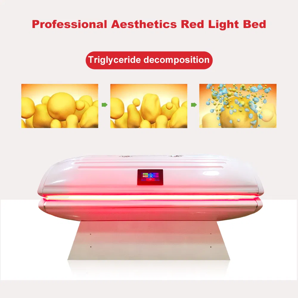 Máquina de Terapia Facial com Luz LED Suyzeko SPA Equipamento de Fisioterapia