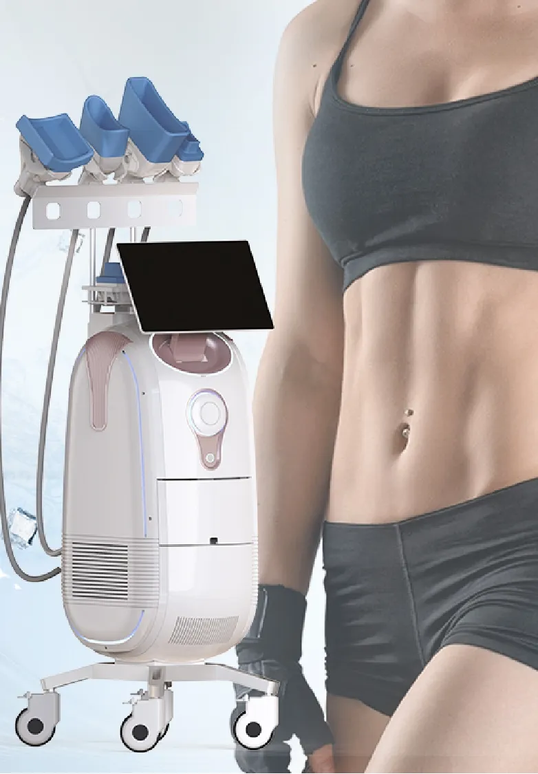 Escultura Corporal Legal 360 Congelamento de Gordura Slimming Criolipólise Crioterapia Máquina