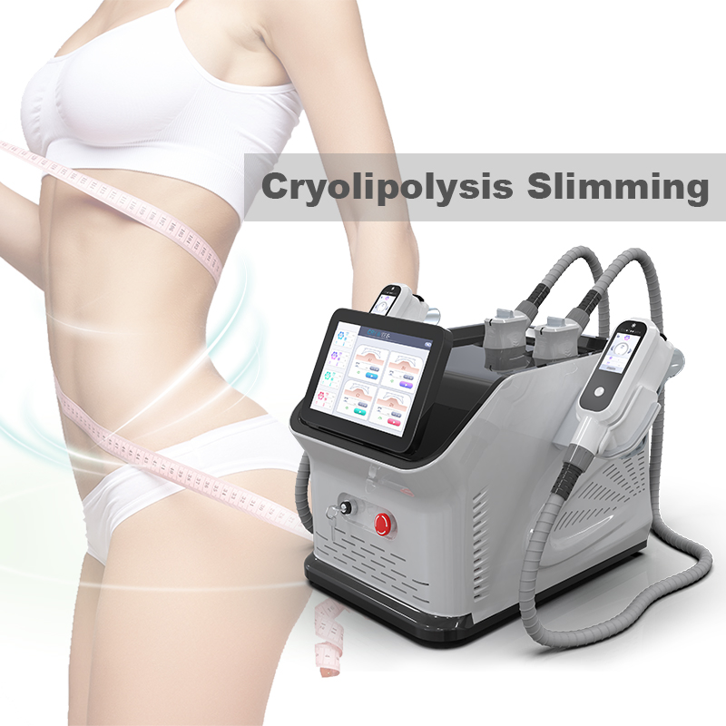 Criolipólise Escultura Fria Slim Criolipólise Perda de Peso Congelamento de Gordura Máquina de Crioterapia