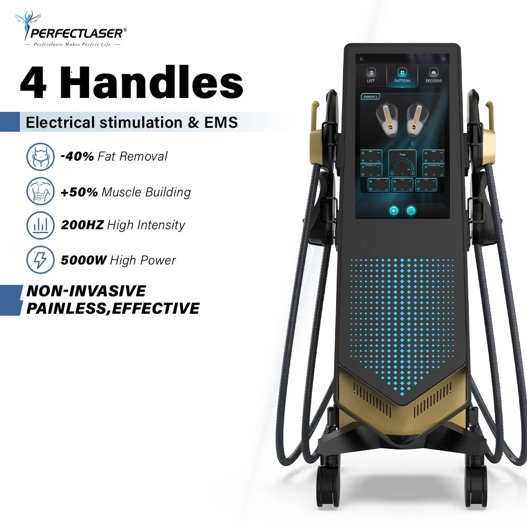 Máquina Profissional 14 Tesla 5000W Power EMS para Reparação e Emagrecimento dos Músculos do Assoalho Pélvico Preço