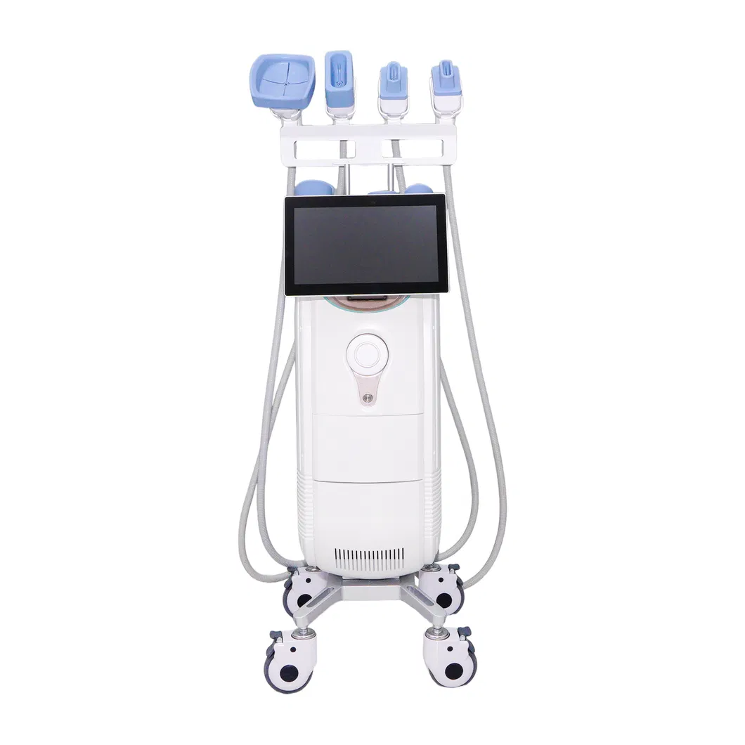 Escultura Corporal Legal 360 Congelamento de Gordura Slimming Criolipólise Crioterapia Máquina