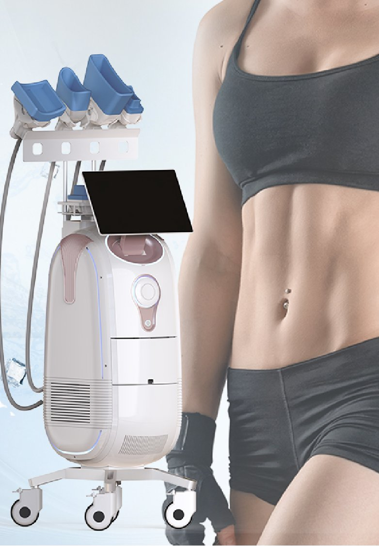 Máquina Avançada de Slimming a Crio com 4 Manípulos e Tela LCD