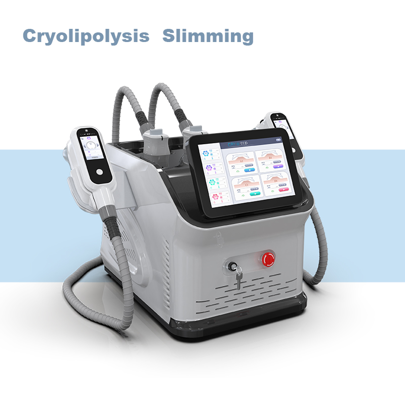 Criolipólise Escultura Fria Slim Criolipólise Perda de Peso Congelamento de Gordura Máquina de Crioterapia