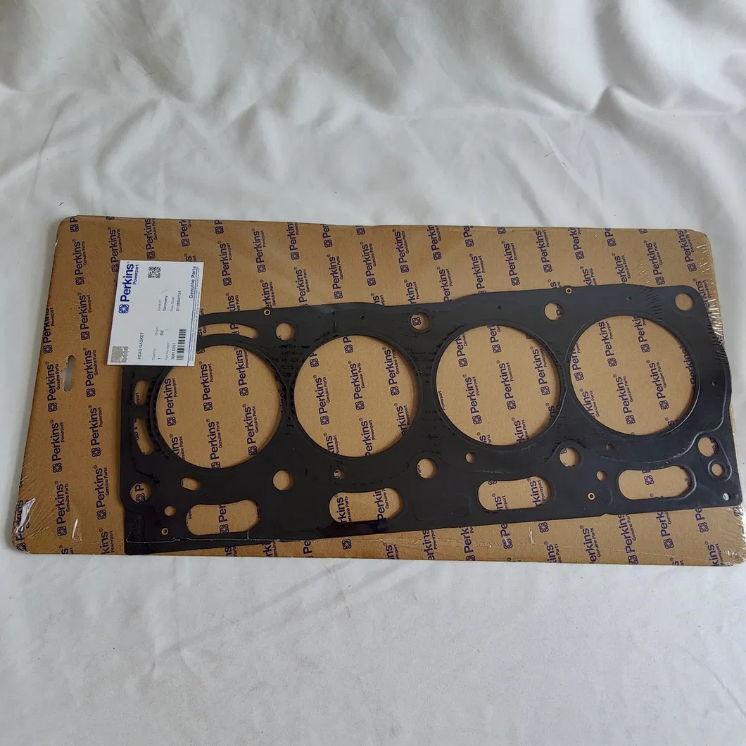 Cylinder Head Gasket Detail 2