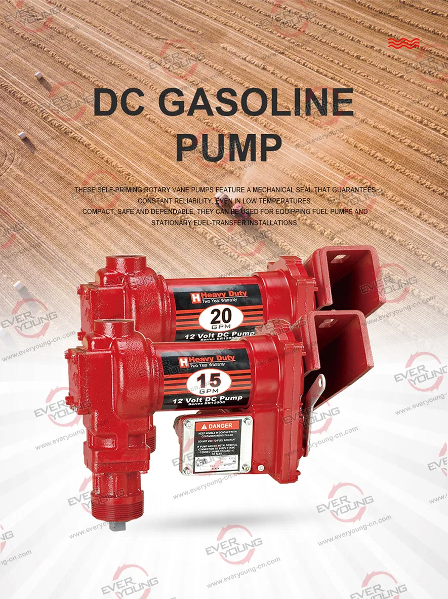 Fuel Transfer Pump View 1