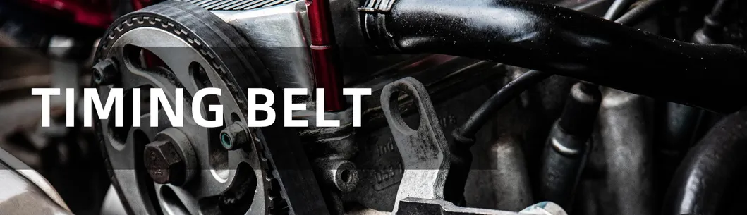 Timing Belt Overview