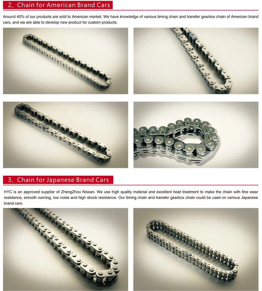 Timing Chain Detail 2