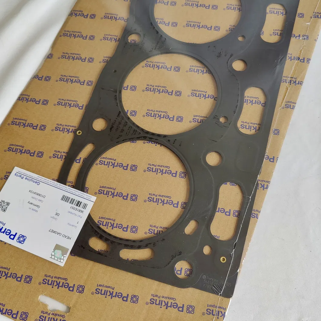Cylinder Head Gasket Detail 1