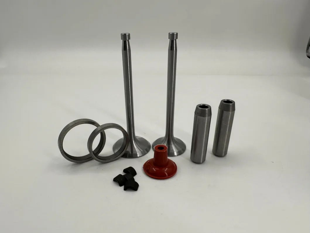 ZS1110 Small Engine Valve Kits Front View