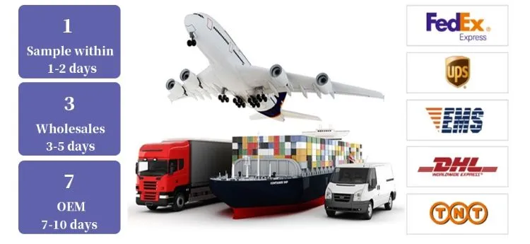 Shipping Logistics