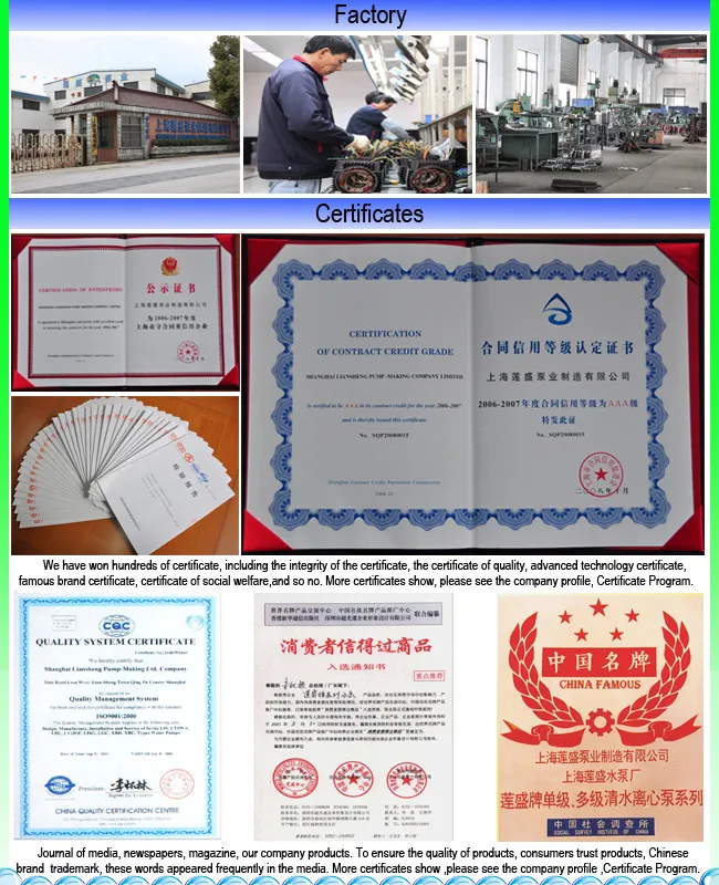 Vertical Multistage Pump View 5