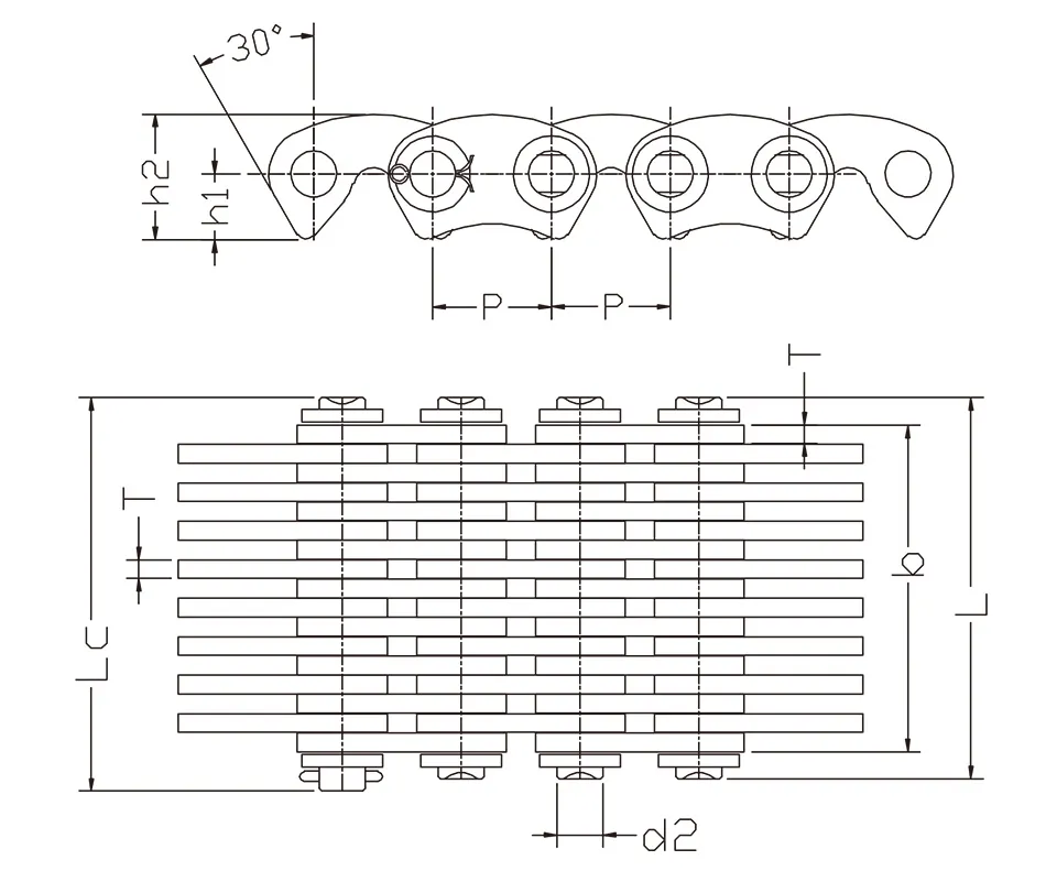 Silent Toothed Chain Detail