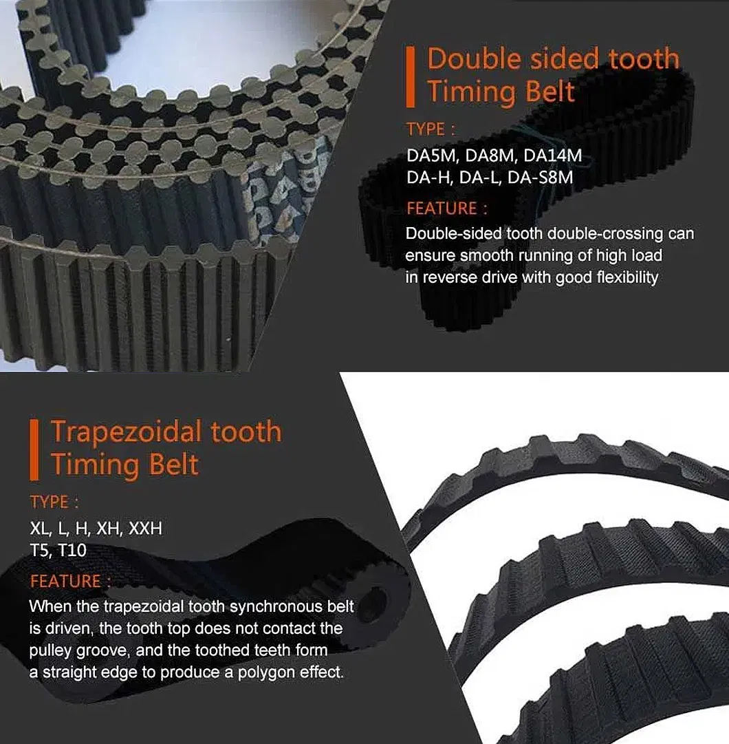 Timing Belt Detail 2