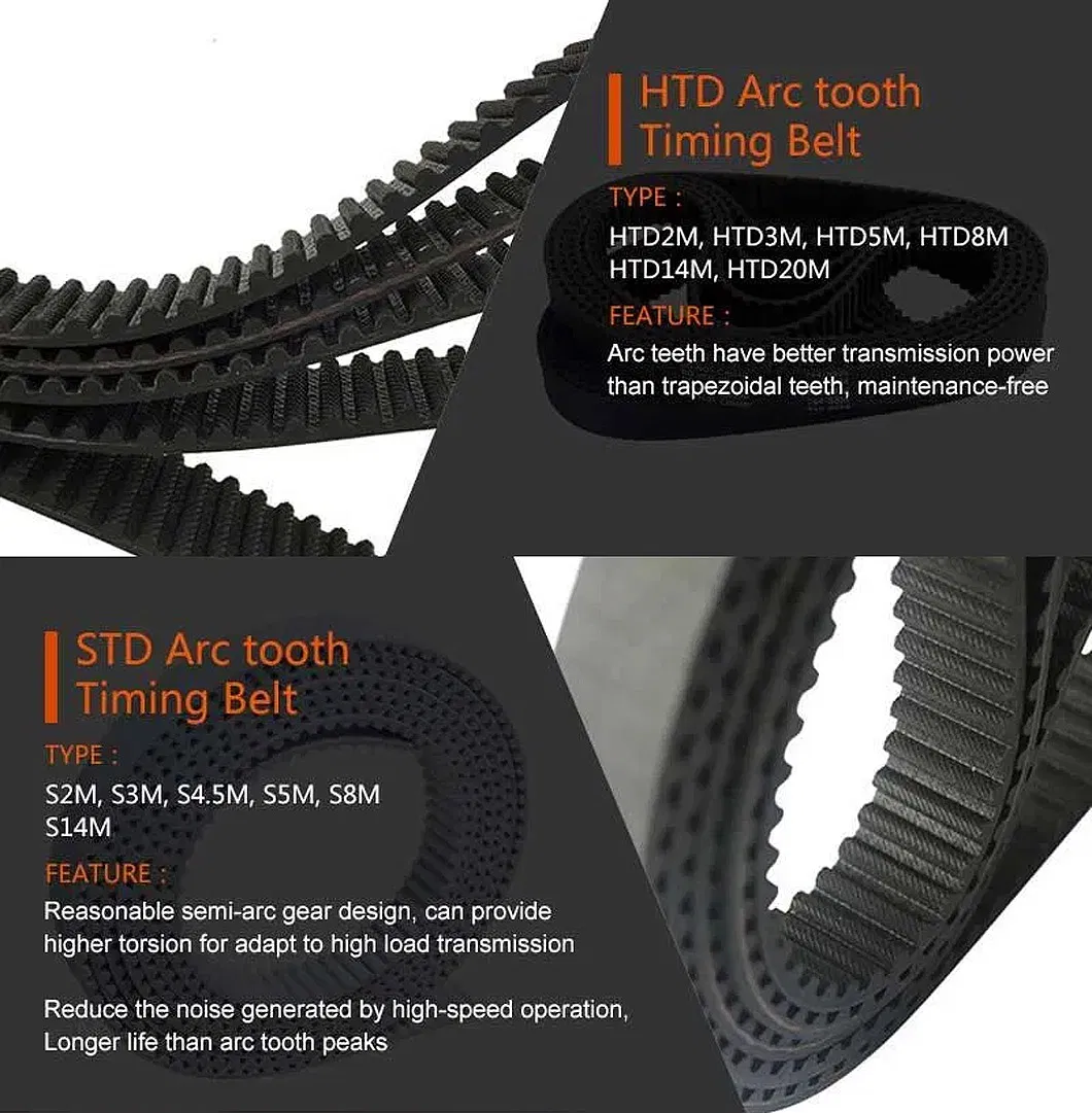 Timing Belt Detail 1