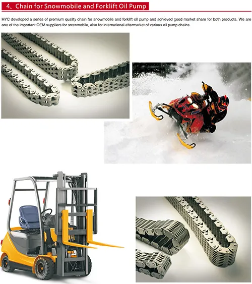 Timing Chain Detail 1