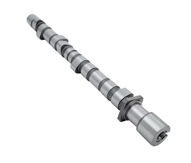 Auto Engine Camshaft Replacement