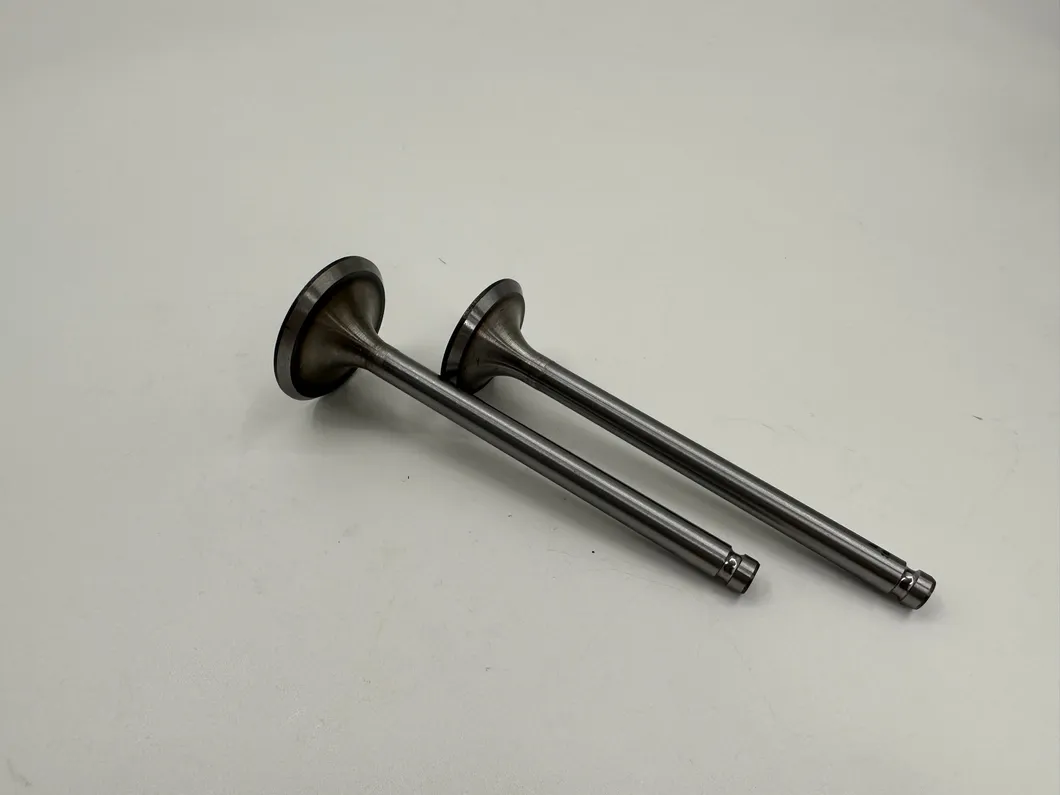 ZS1110 Small Engine Valve Kits Side View